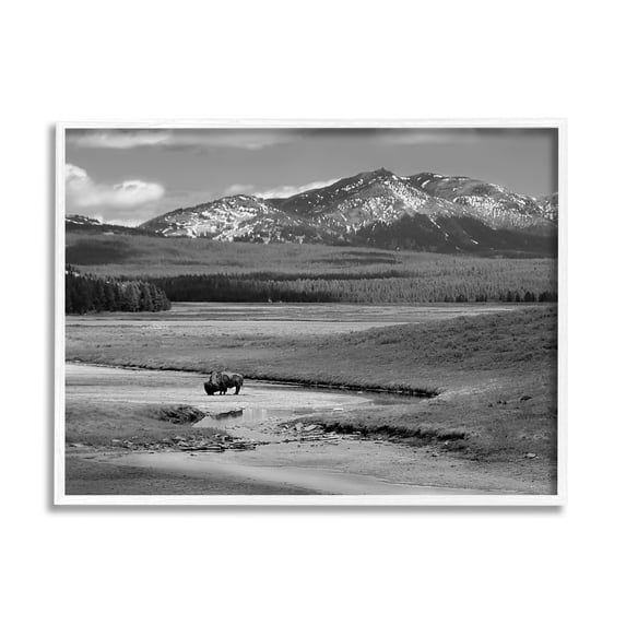 Stupell Industries Bison in Mountain Scene Landscape Photography White Framed Art Print Wall Art, 20 x 16