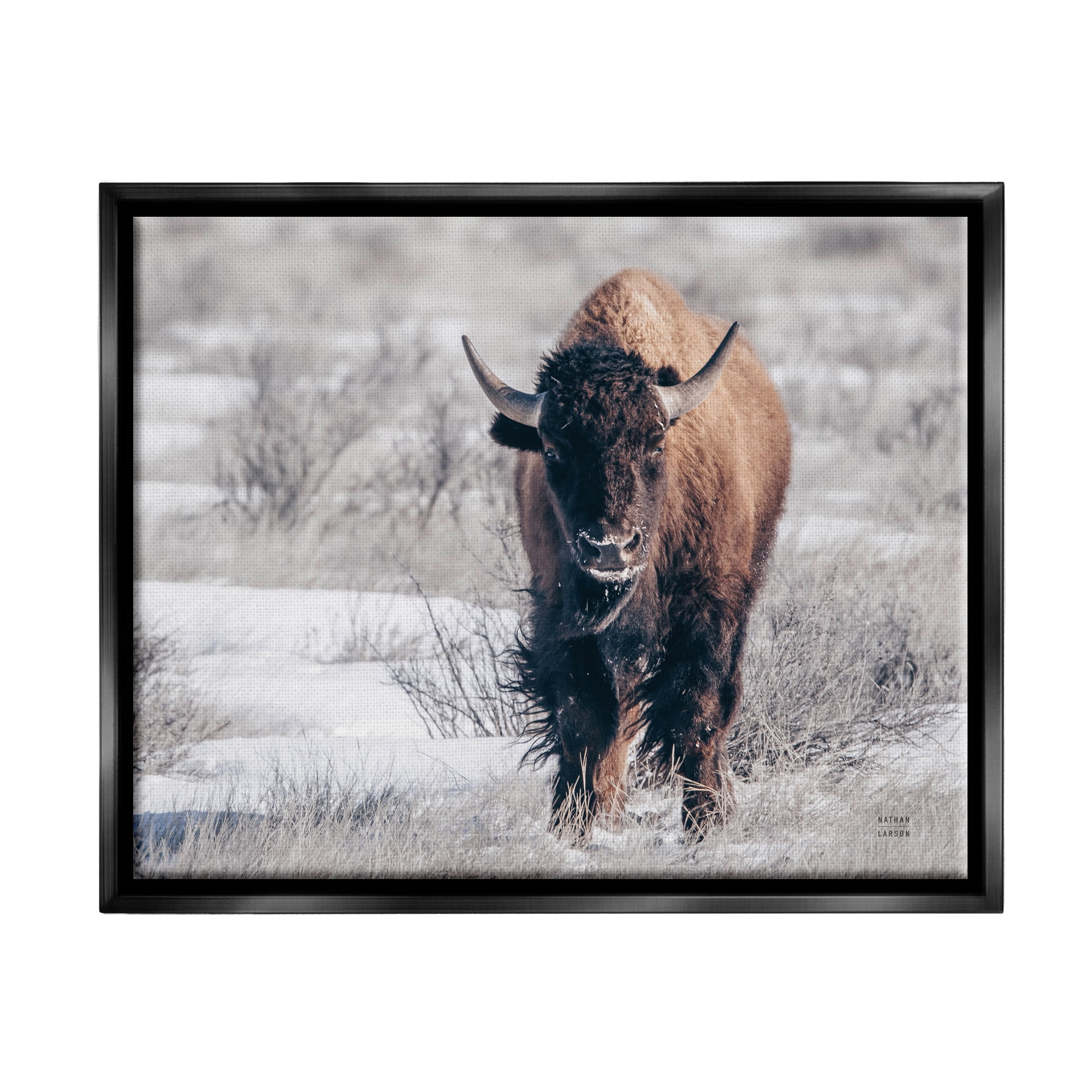 Stupell Industries Bison in Rural Snow Scene Animals & Insects Photography Black Floater Framed Art Print Wall Art, 21 x 17