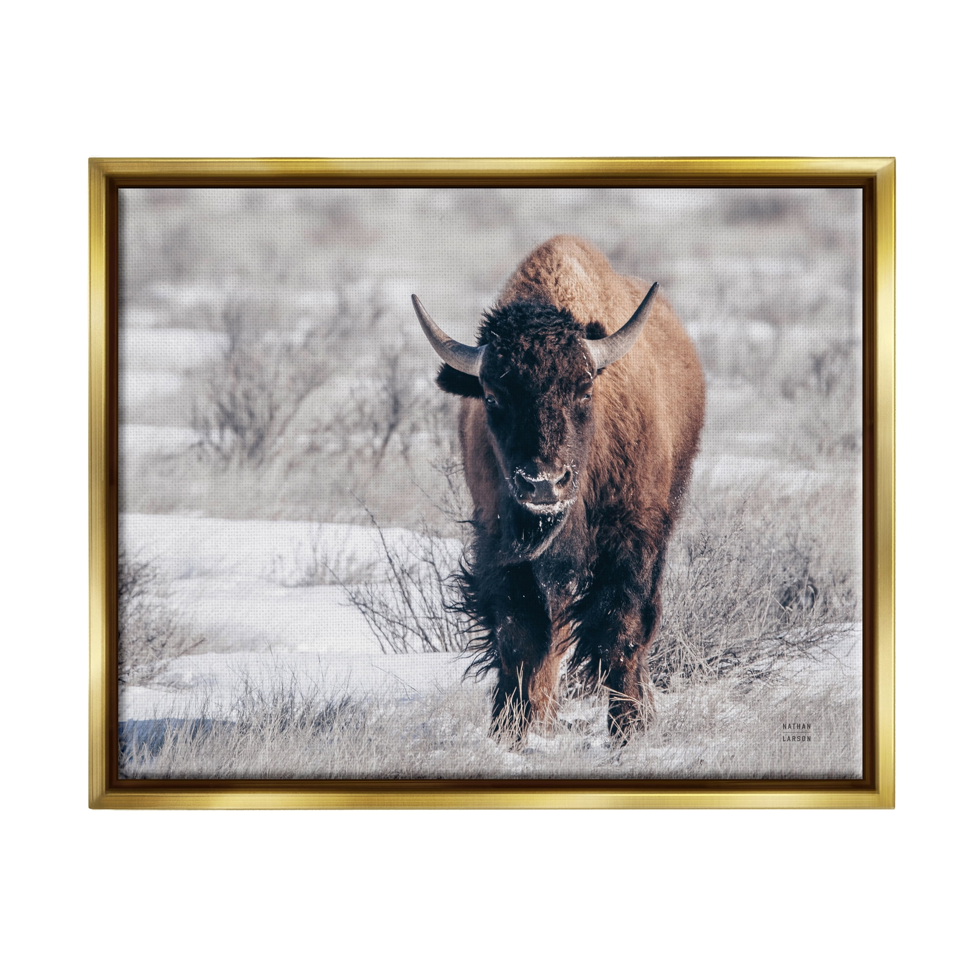 Stupell Industries Bison in Rural Snow Scene Animals & Insects Photography Gold Floater Framed Art Print Wall Art, 31 x 25