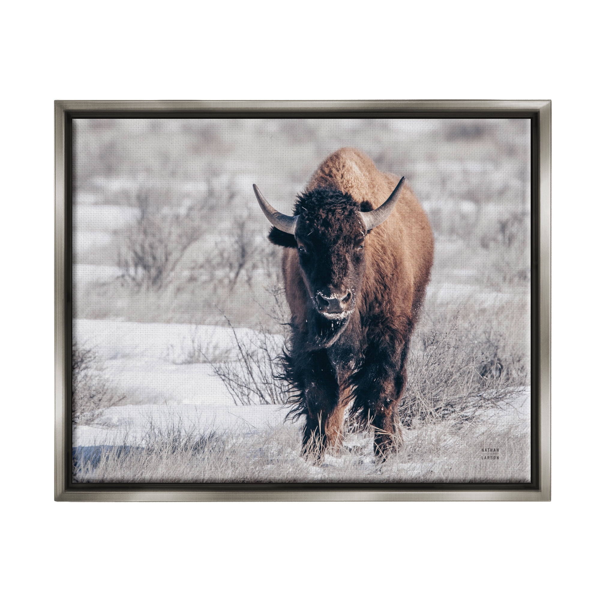 Stupell Industries Bison in Rural Snow Scene Animals & Insects Photography Gray Floater Framed Art Print Wall Art, 31 x 25