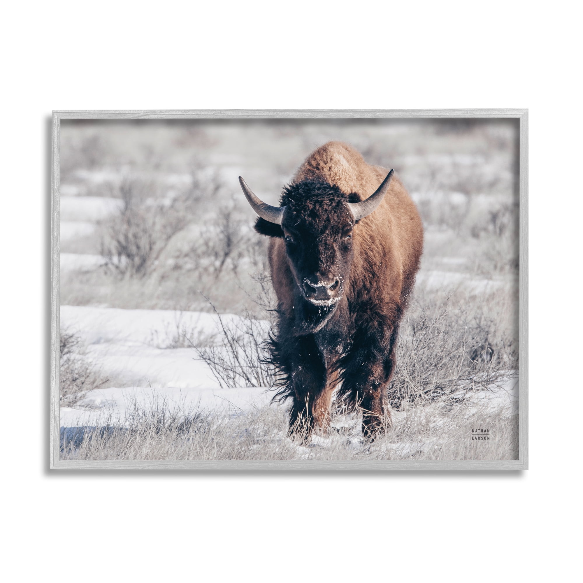 Stupell Industries Bison in Snow Framed Art Print - Wildlife Landscape ...