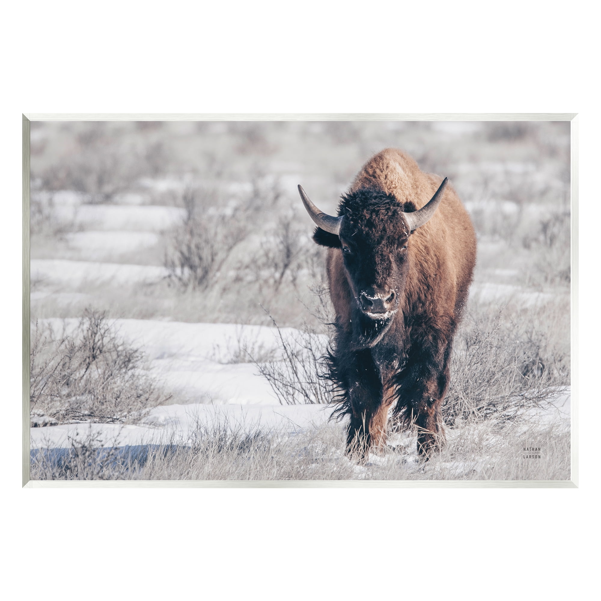 Stupell Industries Bison in Rural Snow Scene Animals & Insects Photography Unframed Art Print Wall Art, 19 x 13