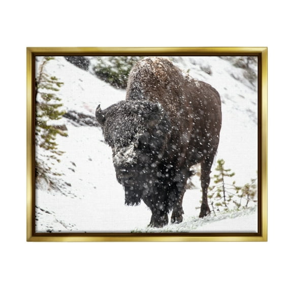 Stupell Industries Bison in Windblown Snow Animals & Insects Photography Gold Floater Framed Art Print Wall Art, 31 x 25