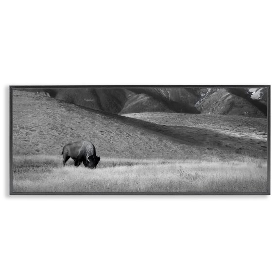 Stupell Industries Rustic Lodge Bison with Mountain Peaks Black Framed Giclee Art, 24 x 10, by Steve Toole