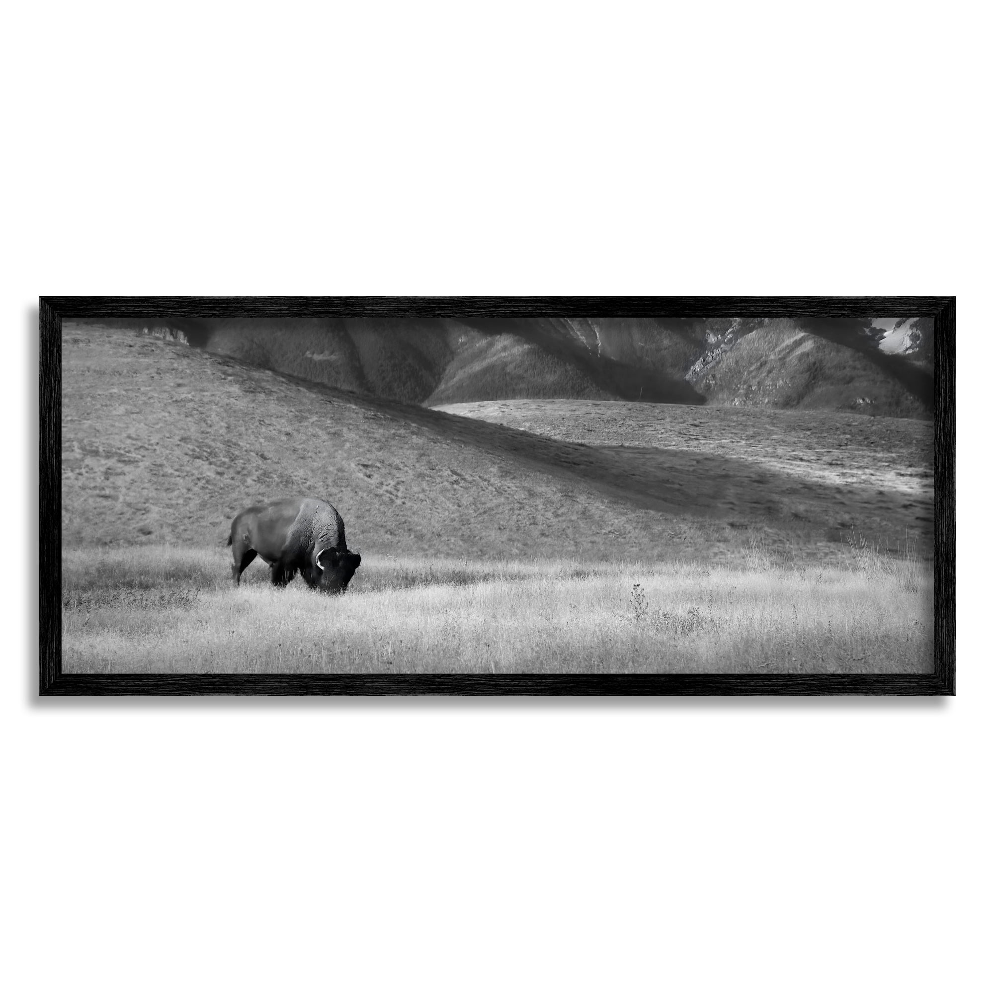 Stupell Industries Bison with Mountain Peaks Landscape Photography Black Framed Art Print Wall Art, 30 x 13