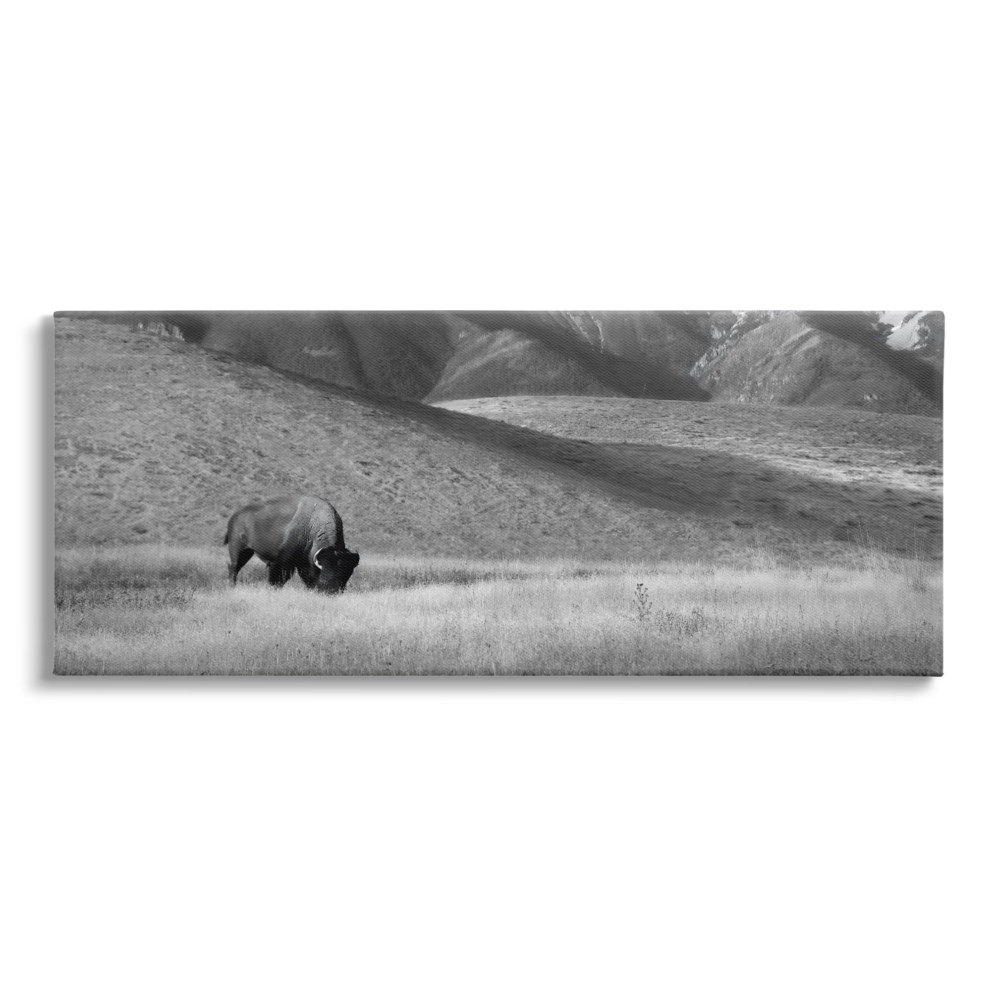 Stupell Industries Bison with Mountain Peaks Landscape Photography Gallery Wrapped Canvas Art Print Wall Art, 48 x 20