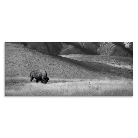 Stupell Industries Rustic Lodge Bison with Mountain Peaks Canvas Art, 48 x 20, by Steve Toole