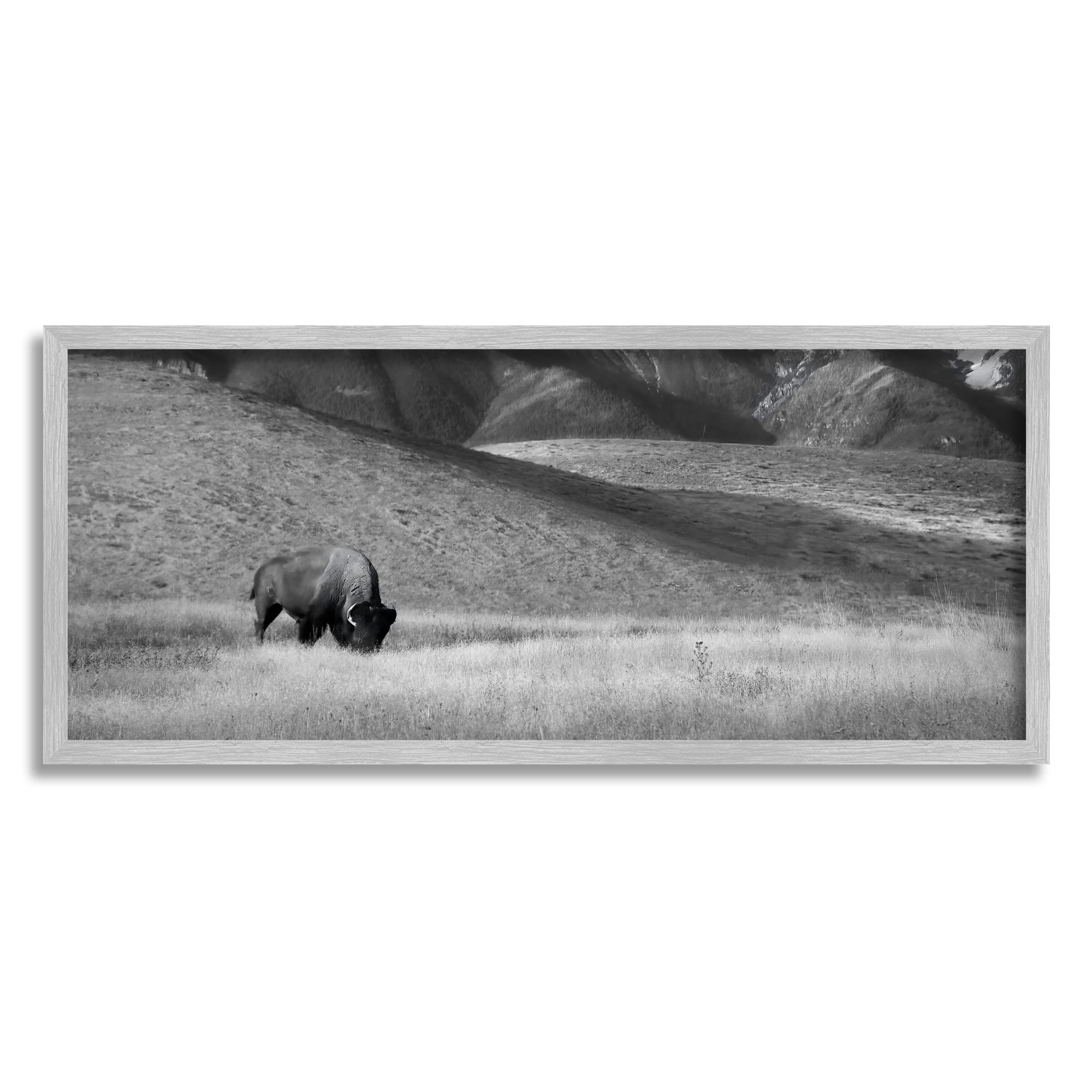 Stupell Industries Bison with Mountain Peaks Landscape Photography Gray Framed Art Print Wall Art, 24 x 10