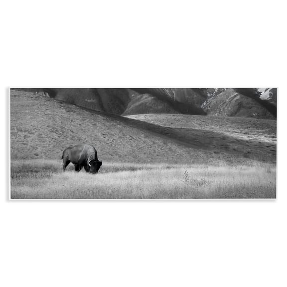 Stupell Industries Rustic Lodge Bison with Mountain Peaks Wall Plaque Art, 17 x 7, by Steve Toole