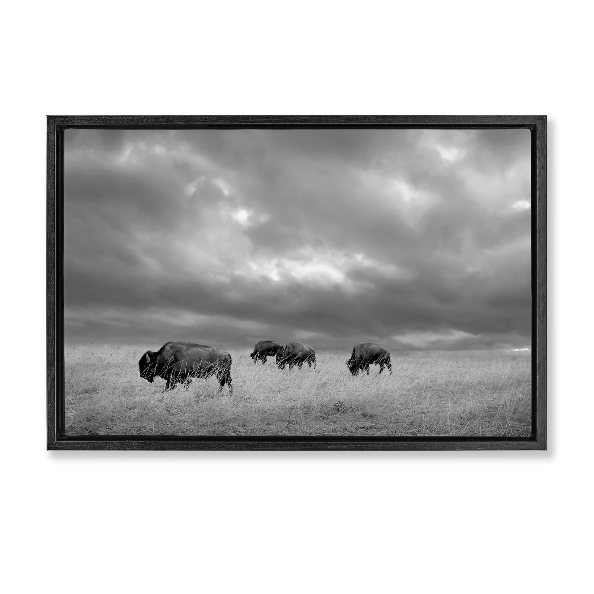 Stupell Industries Bisons Under an Autumn Sky Black Framed Floater Canvas Wall Art, design by Steve Toole