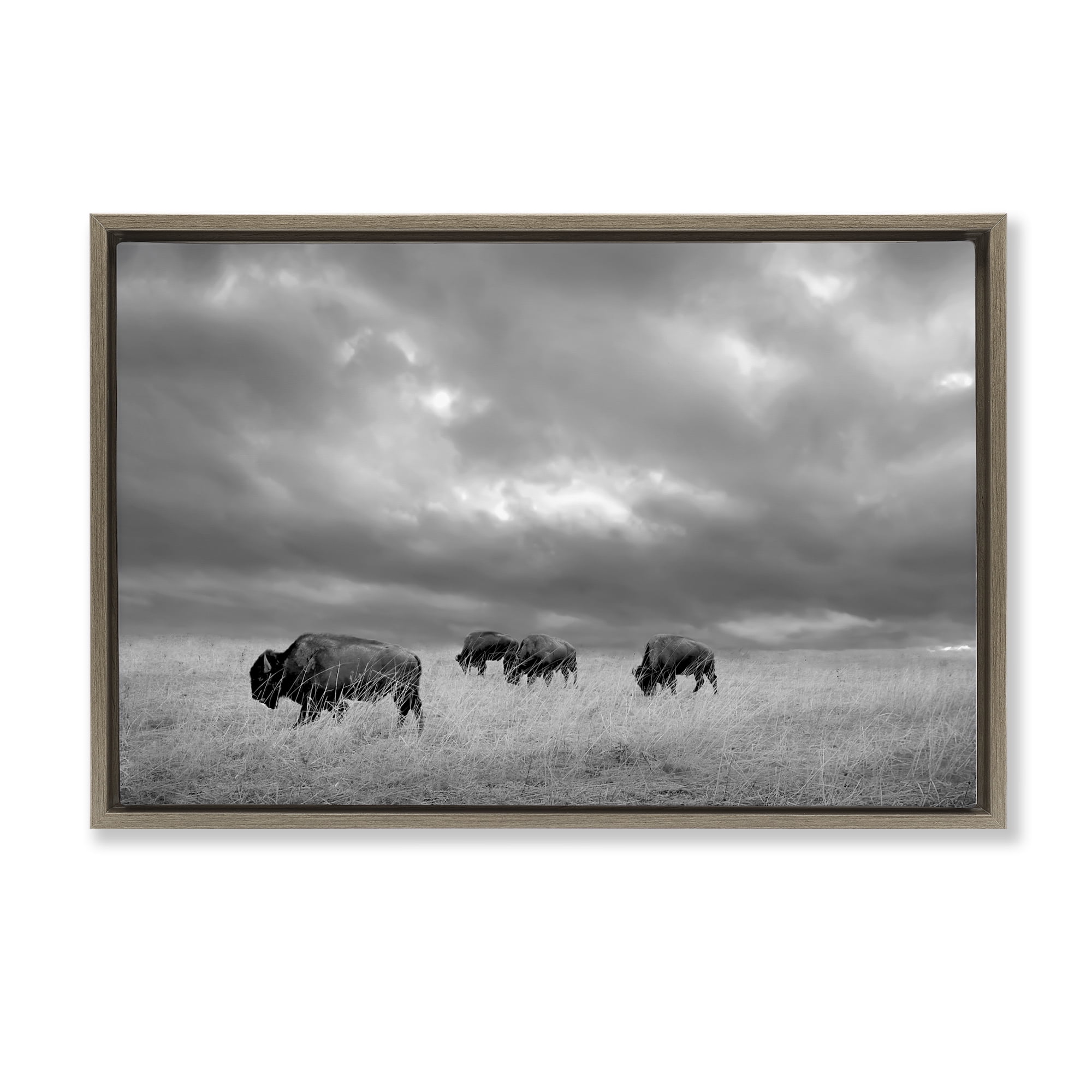 Stupell Industries Bisons Under an Autumn Sky Brown Framed Floater Canvas Wall Art, design by Steve Toole
