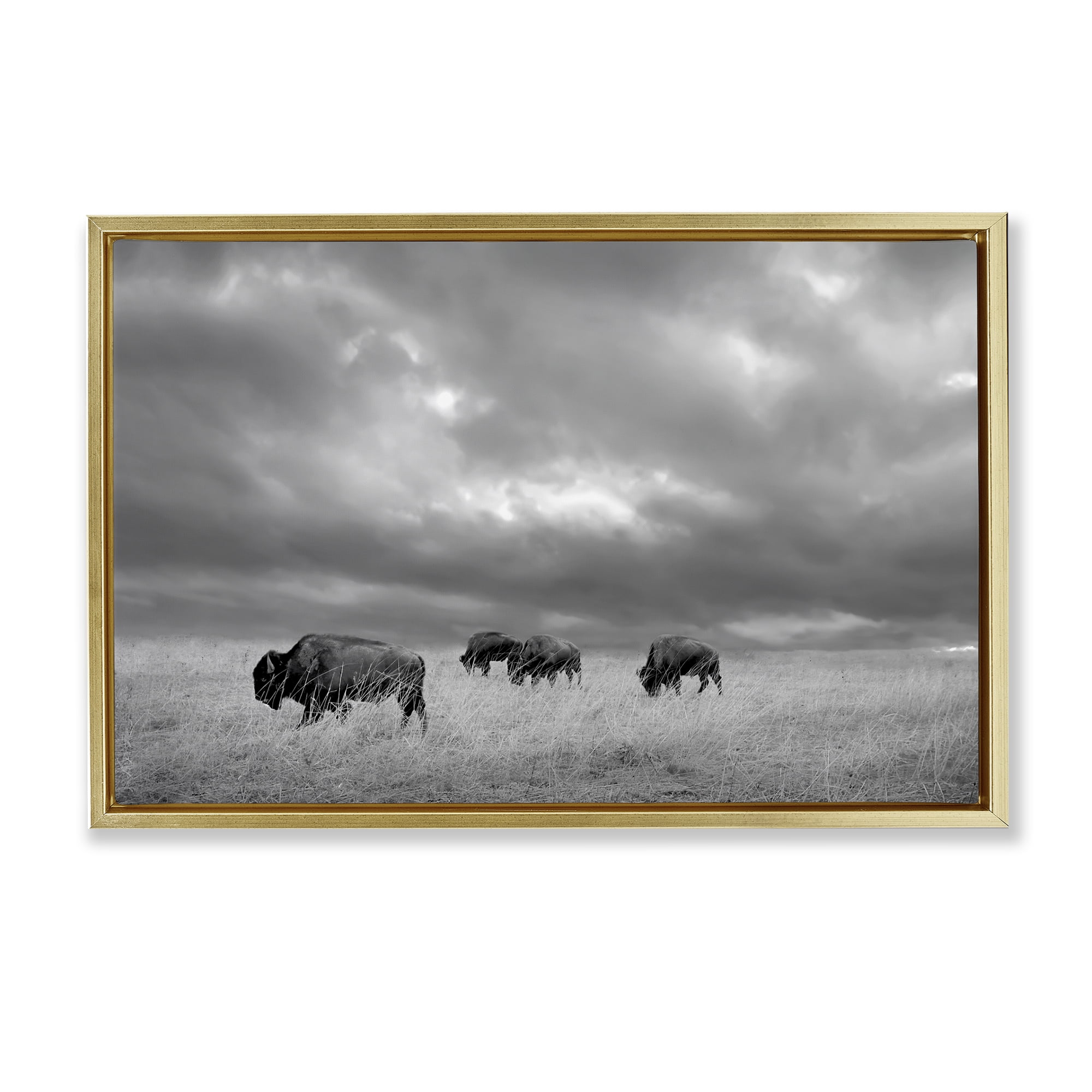 Stupell Industries Bisons Under an Autumn Sky Gold Framed Floater Canvas Wall Art, design by Steve Toole