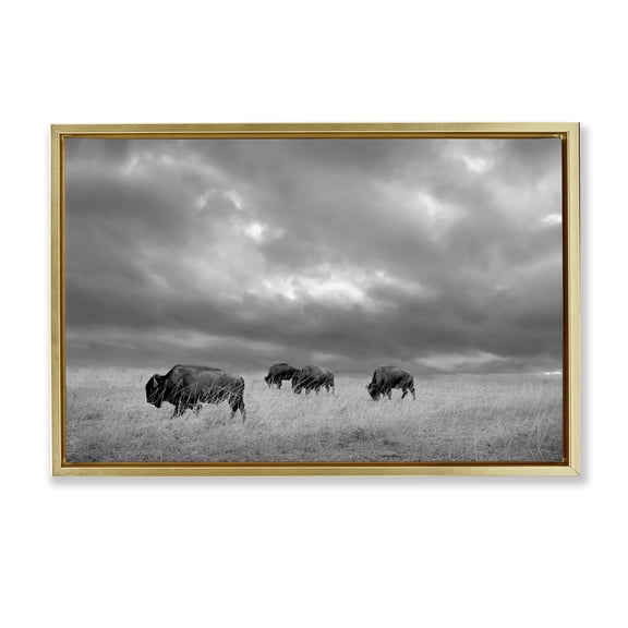 Stupell Industries Bisons Under an Autumn Sky Gold Framed Floater Canvas Wall Art, design by Steve Toole