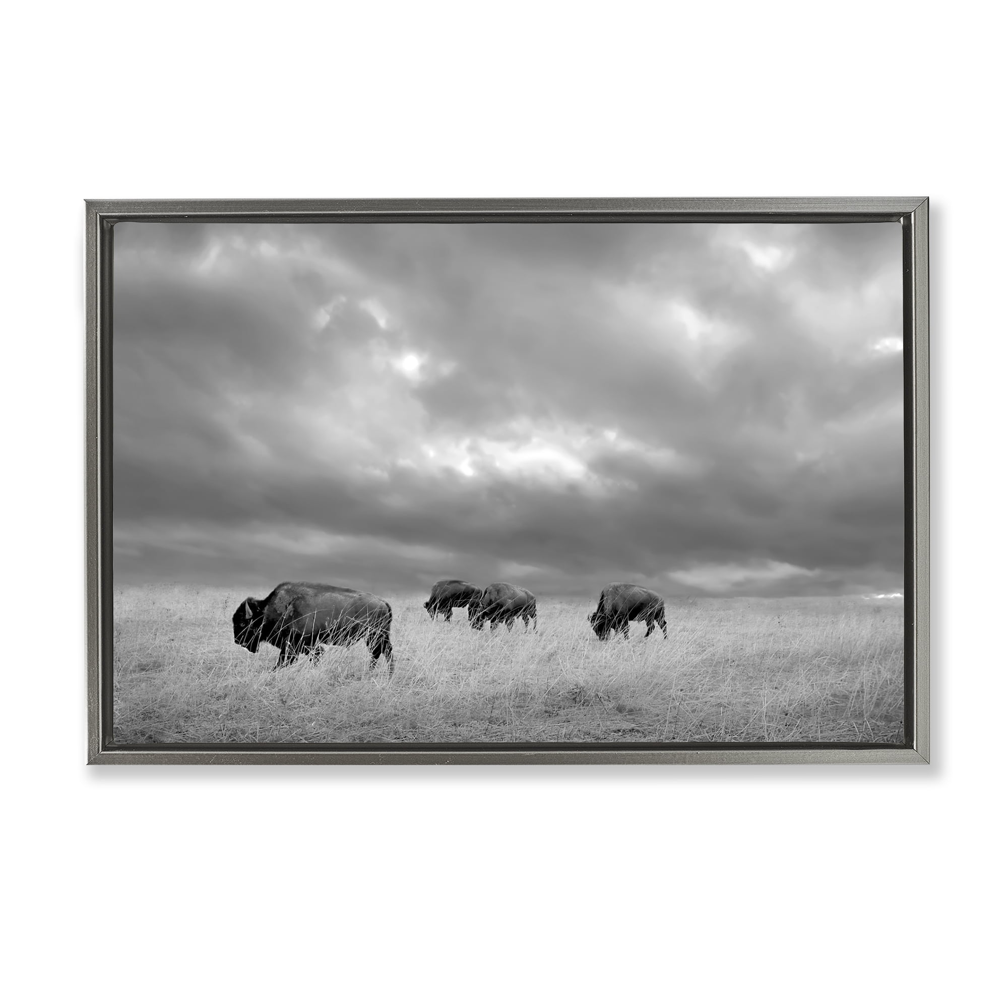 Stupell Industries Bisons Under an Autumn Sky Gray Framed Floater Canvas Wall Art, design by Steve Toole