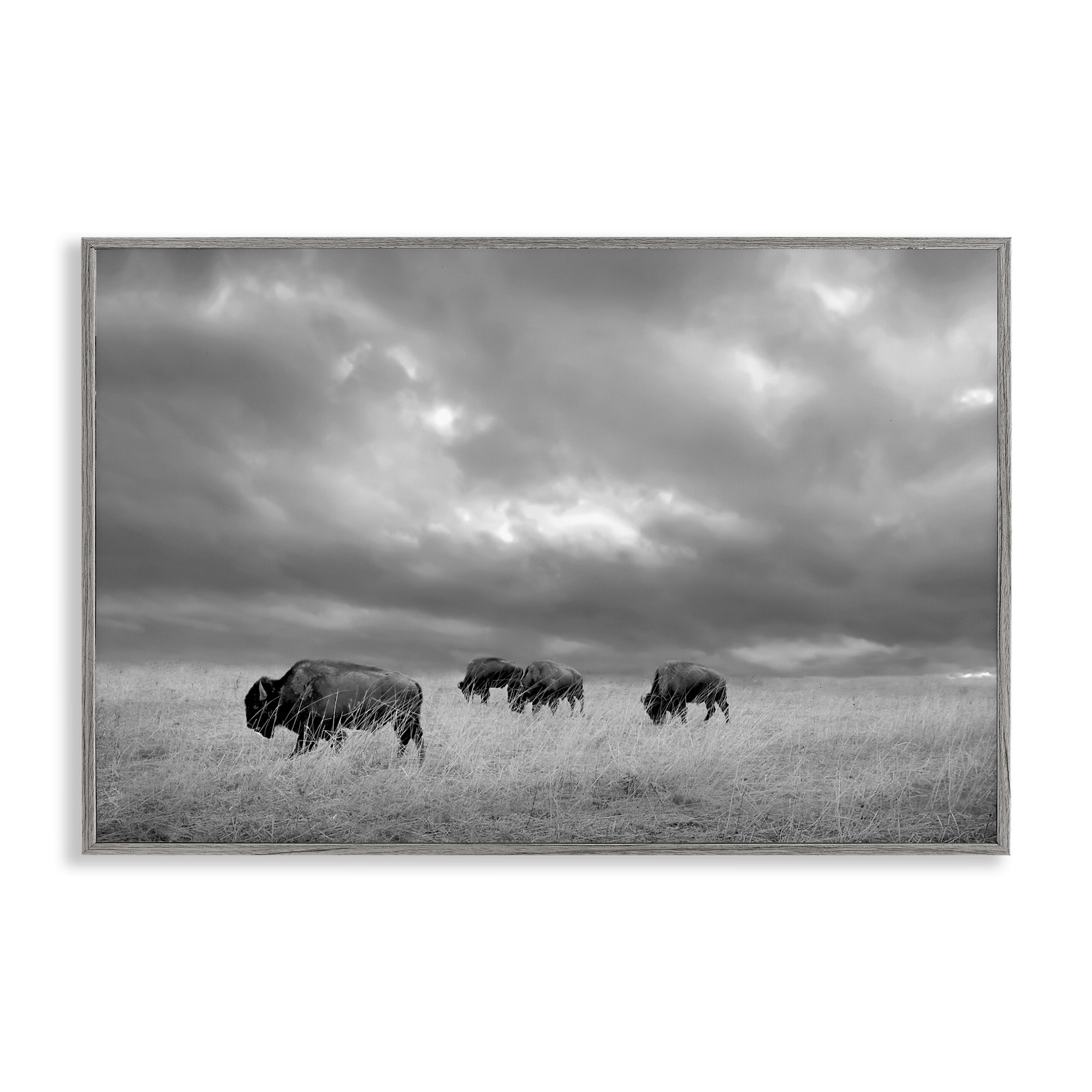 Stupell Industries Bisons Under an Autumn Sky Gray Framed Giclee Art, design by Steve Toole