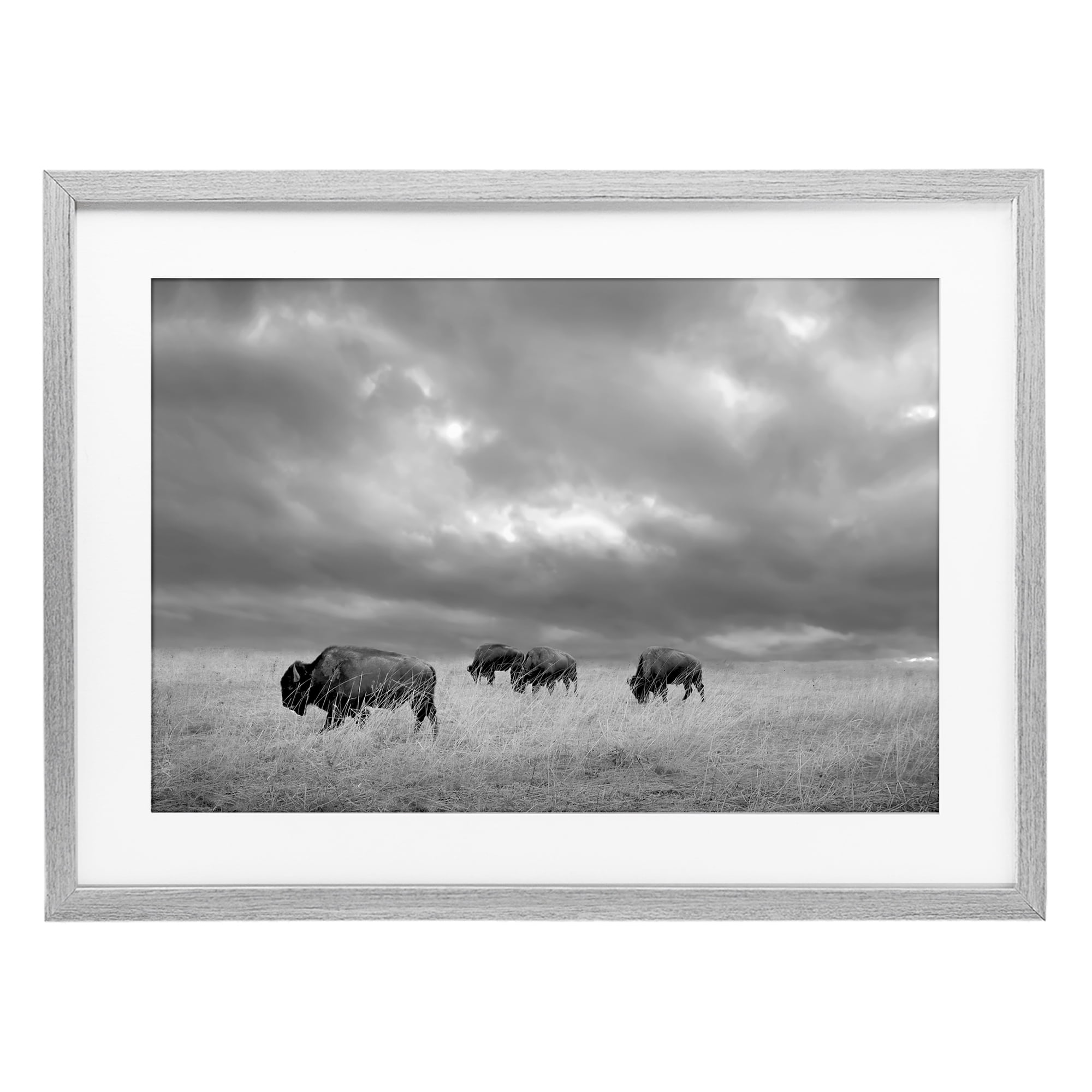 Stupell Industries Bisons Under an Autumn Sky Gray Framed Print Under Glass, design by Steve Toole