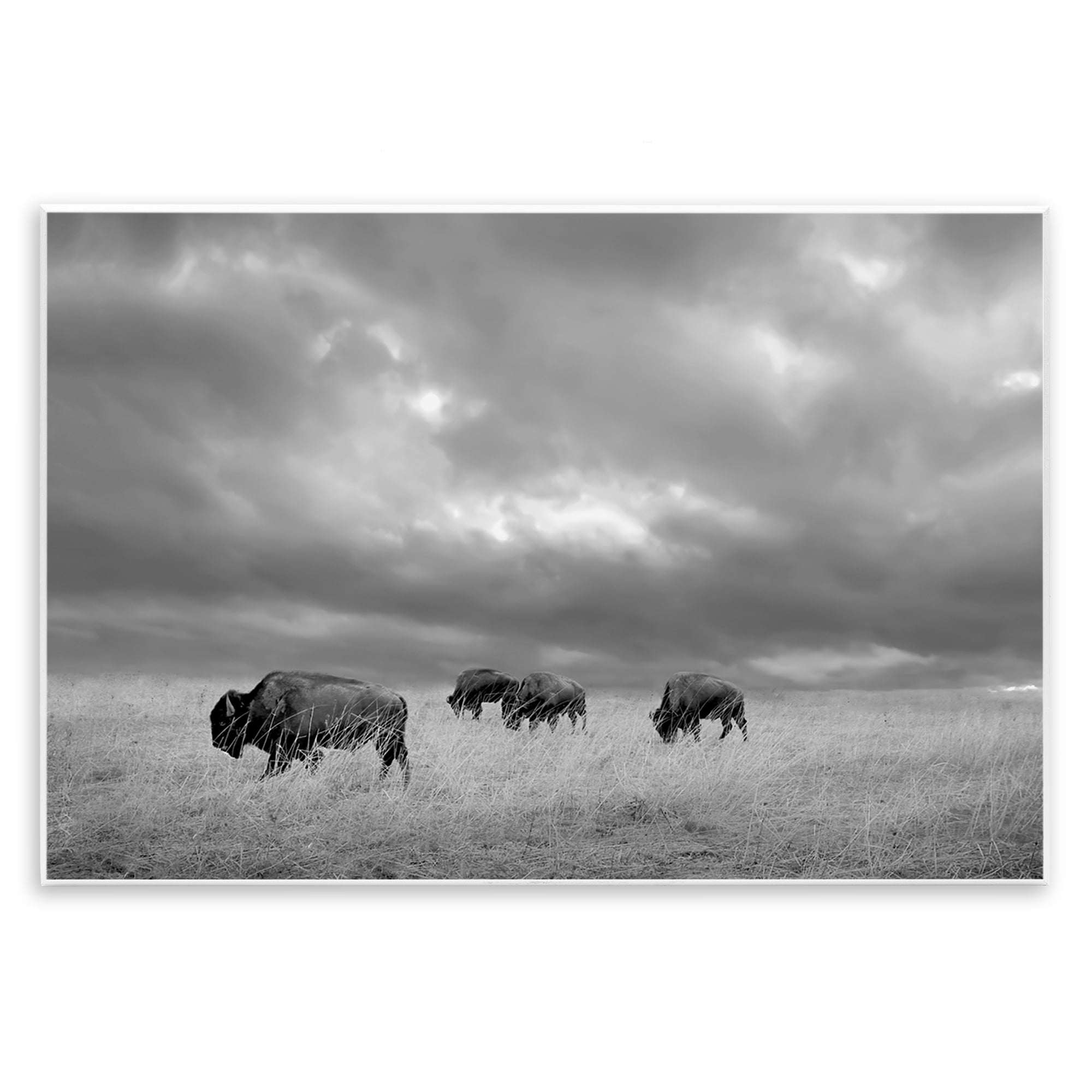 Stupell Industries Bisons Under an Autumn Sky Wall Plaque Art, design by Steve Toole