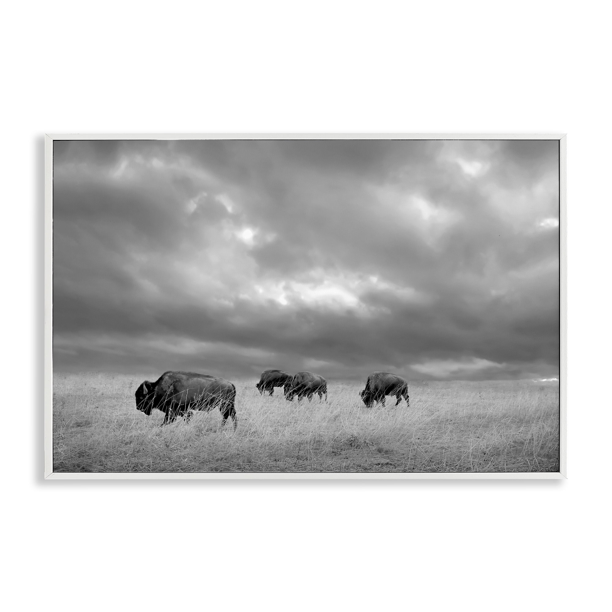 Stupell Industries Bisons Under an Autumn Sky White Framed Giclee Art, design by Steve Toole