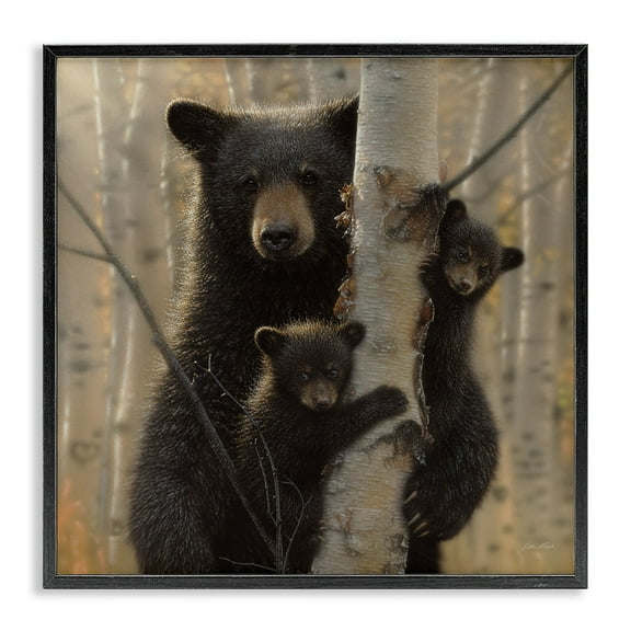 Stupell Industries Black Bear and Cubs Soft Birch Tree Forest, 12 x 12, Design by Collin Bogle