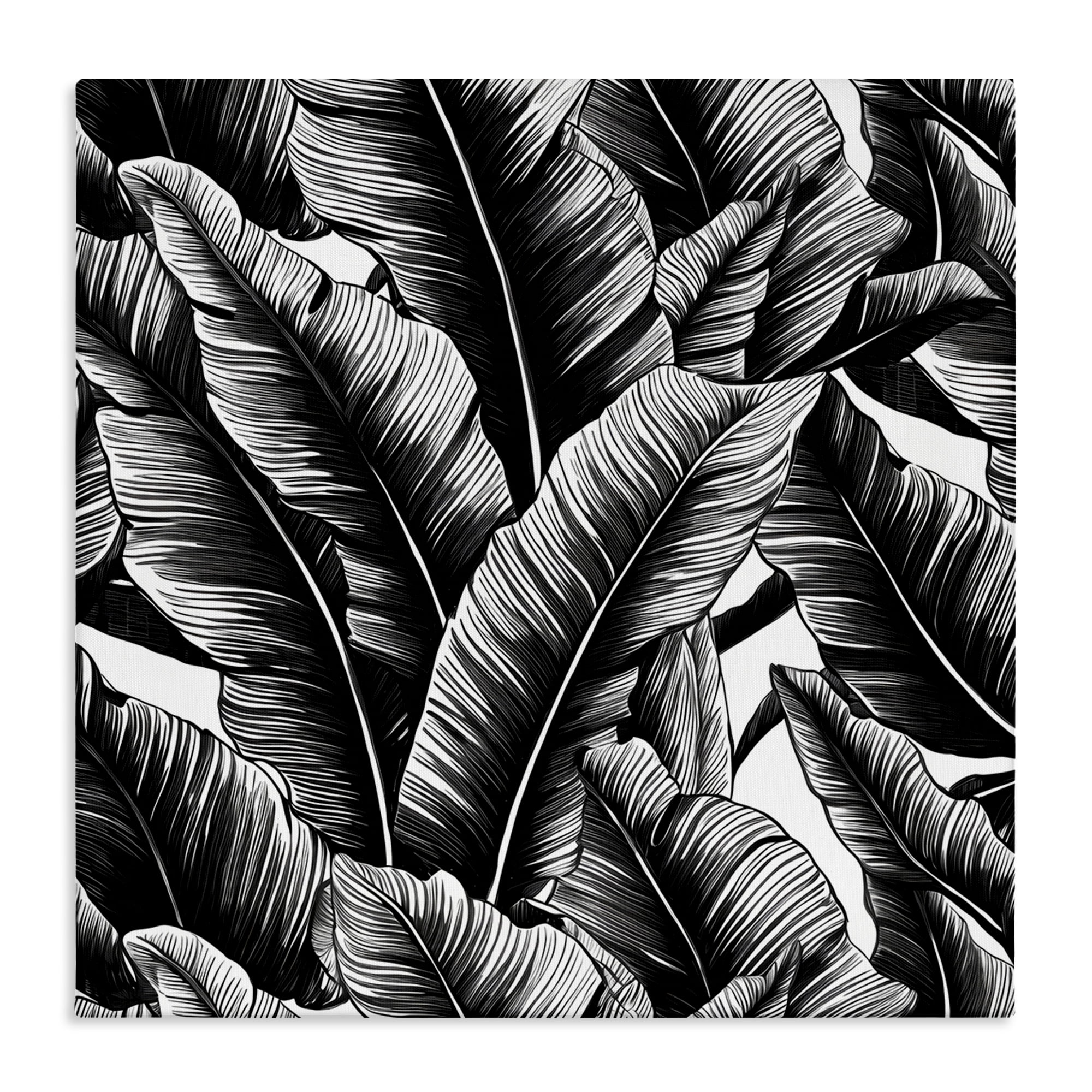 Stupell Industries Black Bold Fronds Botanical & Floral Painting Gallery Wrapped Canvas Art Print Wall Art, 36 x 36