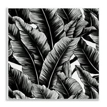 Stupell Industries Black Bold Fronds Botanical & Floral Painting Unframed Art Print Wall Art, 12 x 12