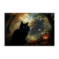 thumbnail image 1 of Stupell Industries Black Cat & Haunted Mansion Animals Painting Wrapped Canvas Canvas Art Print Wall Art, 30 x 20, 1 of 7