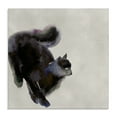 thumbnail image 1 of Stupell Industries Black Cat Watercolor Animals Painting Wrapped Canvas Art Print Wall Art, 17 x 17, 1 of 8