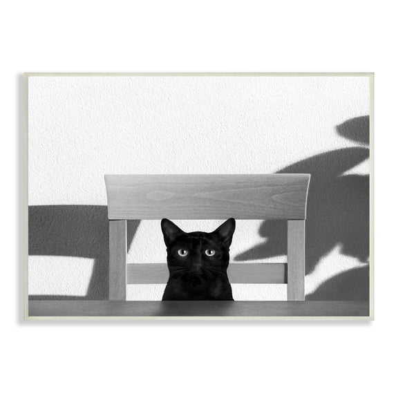 Stupell Industries Black Cat at Kitchen Table Pet Animal Photograph, 10 x 15, Designed by Jon Bertelli