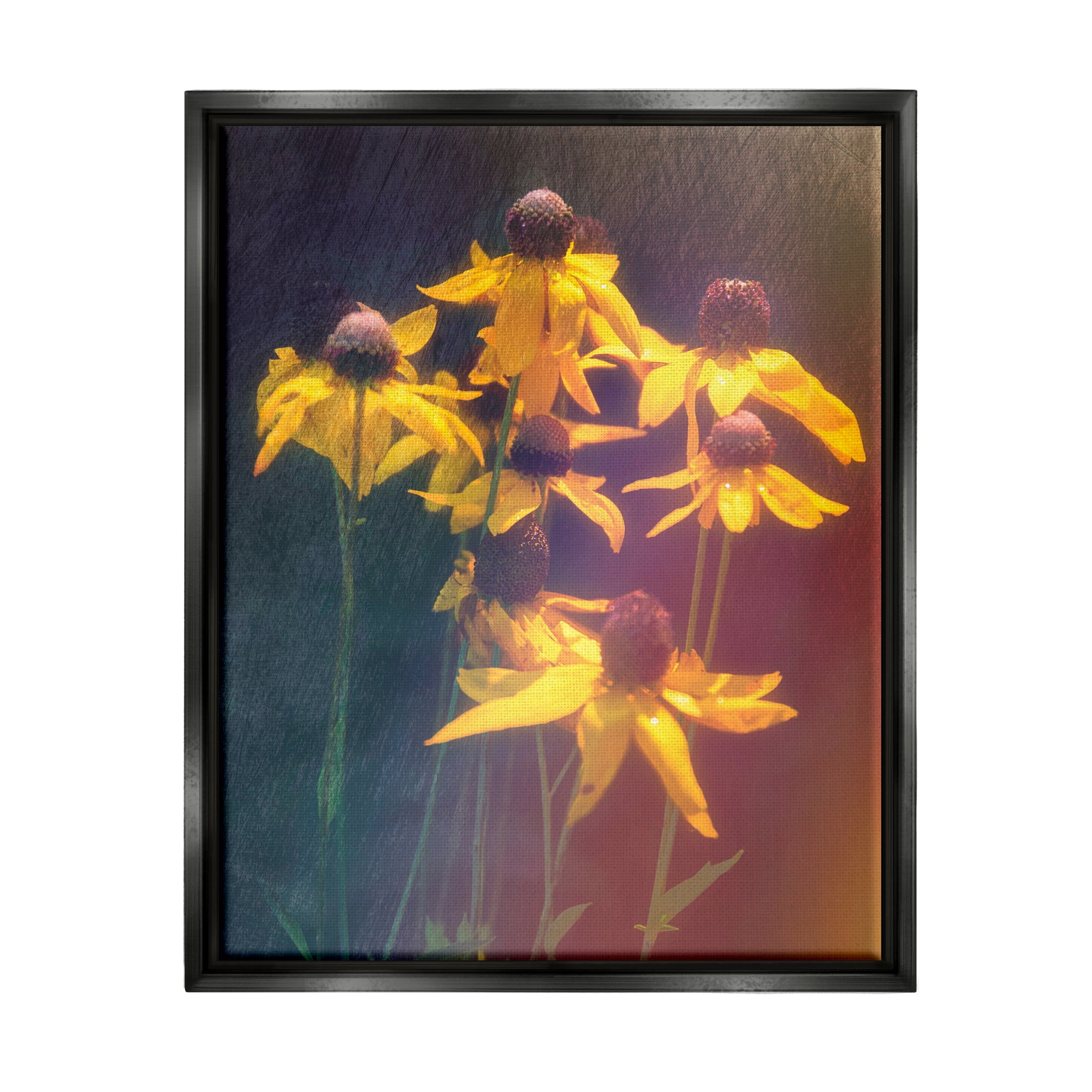 Stupell Industries Black-Eyed Susan Photography Botanical & Floral Photography Black Floater Framed Canvas Art Print Wall Art, 25 x 31
