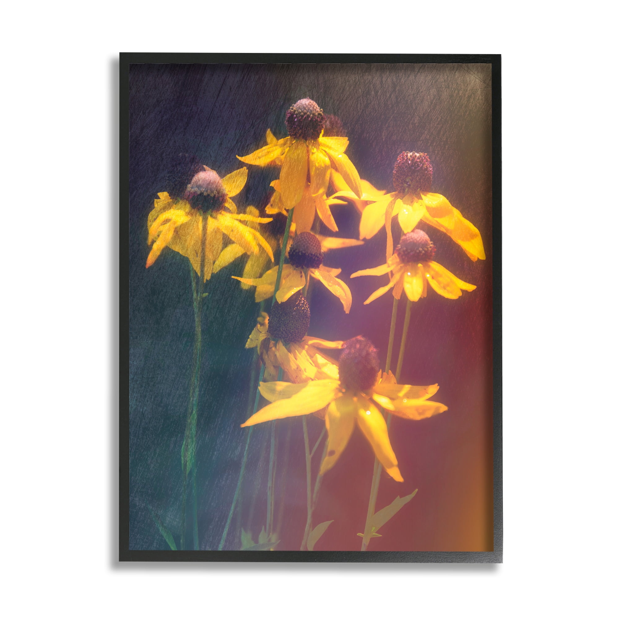 Stupell Industries Black-Eyed Susan Photography Botanical & Floral Photography Black Framed Art Print Wall Art, 24 x 30