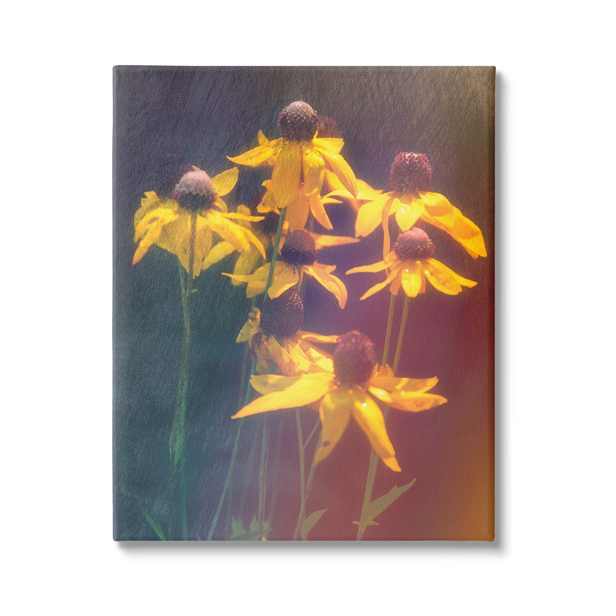 Stupell Industries Black-Eyed Susan Photography Botanical & Floral Photography Gallery Wrapped Canvas Art Print Wall Art, 36 x 48