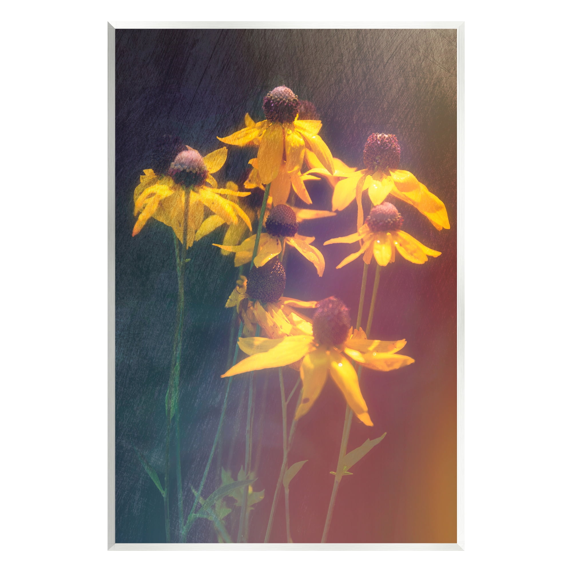 Stupell Industries Black-Eyed Susan Photography Botanical & Floral Photography Unframed Art Print Wall Art, 10 x 15