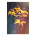 thumbnail image 1 of Stupell Industries Black-Eyed Susan Photography Botanical & Floral Photography Unframed Art Print Wall Art, 10 x 15, 1 of 7