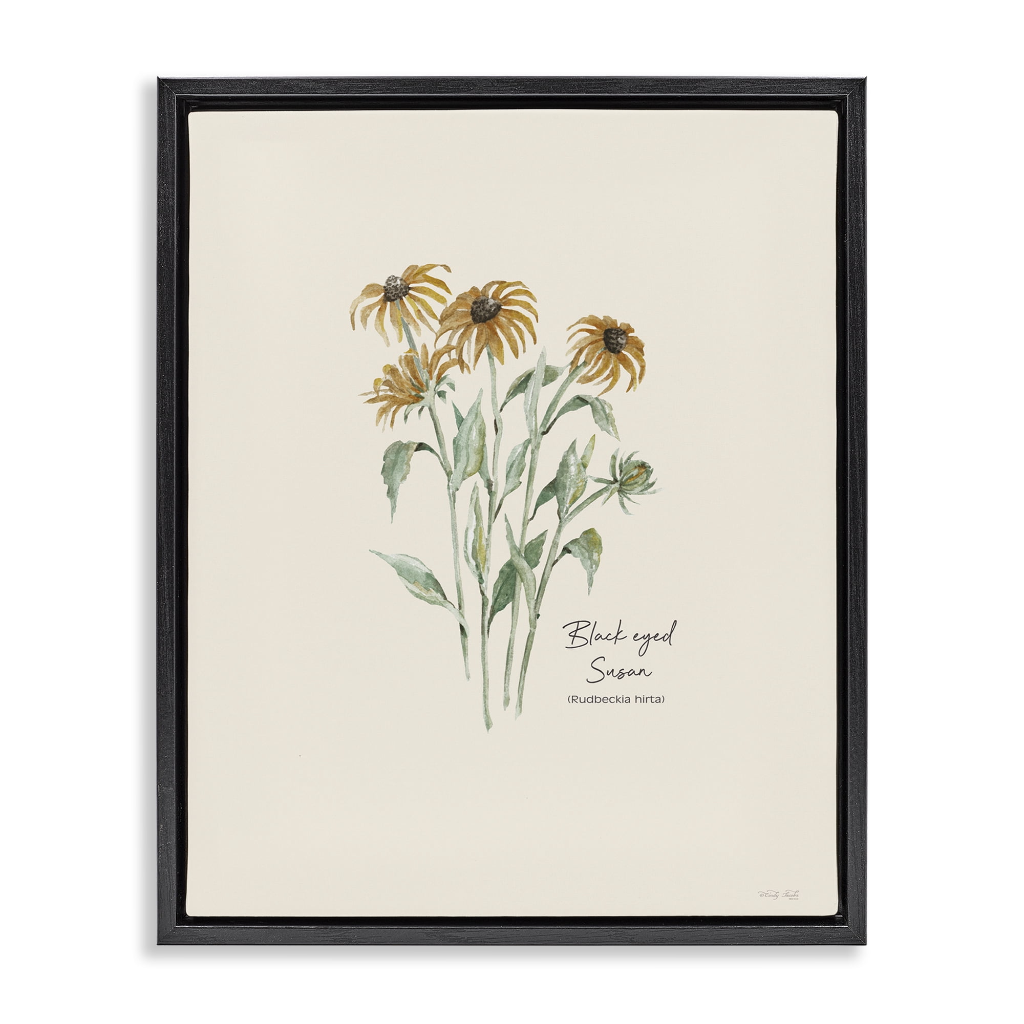 Stupell Industries Black Eyed Susans Botanical & Floral Painting Black Floater Framed Art Print Wall Art, 25 x 31
