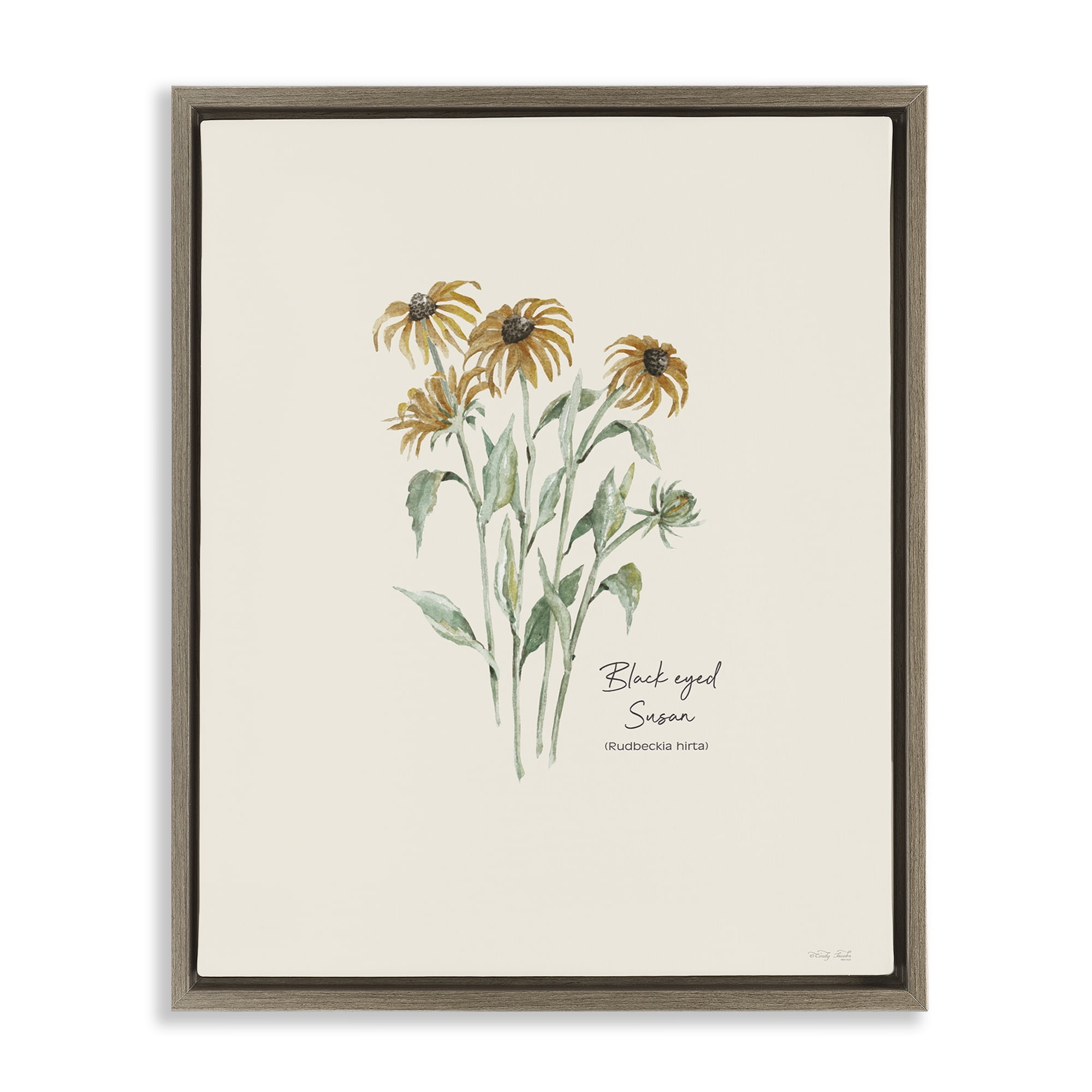 Stupell Industries Black Eyed Susans Botanical & Floral Painting Brown Floater Framed Art Print Wall Art, 17 x 21