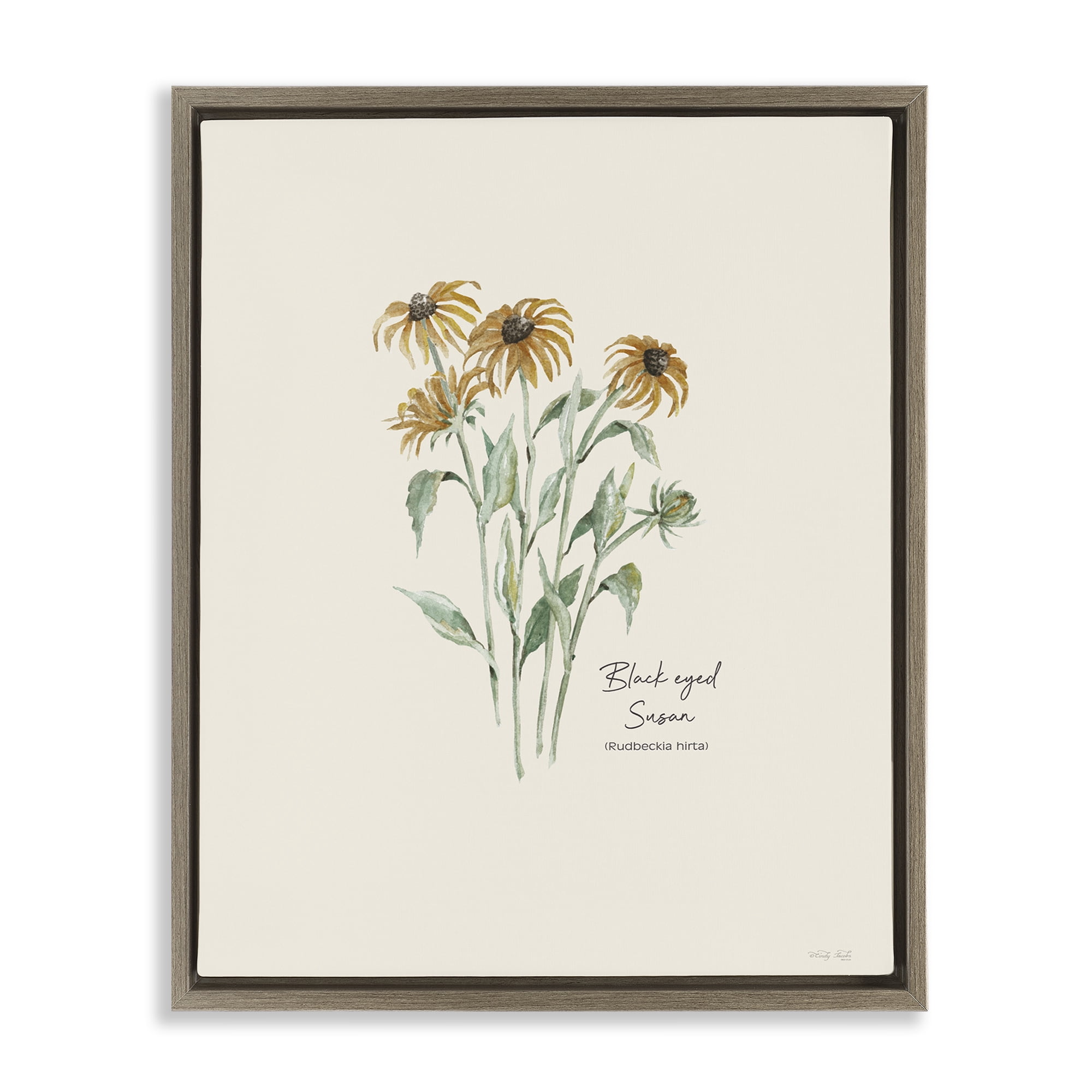 Stupell Industries Black Eyed Susans Botanical & Floral Painting Brown Floater Framed Art Print Wall Art, 25 x 31