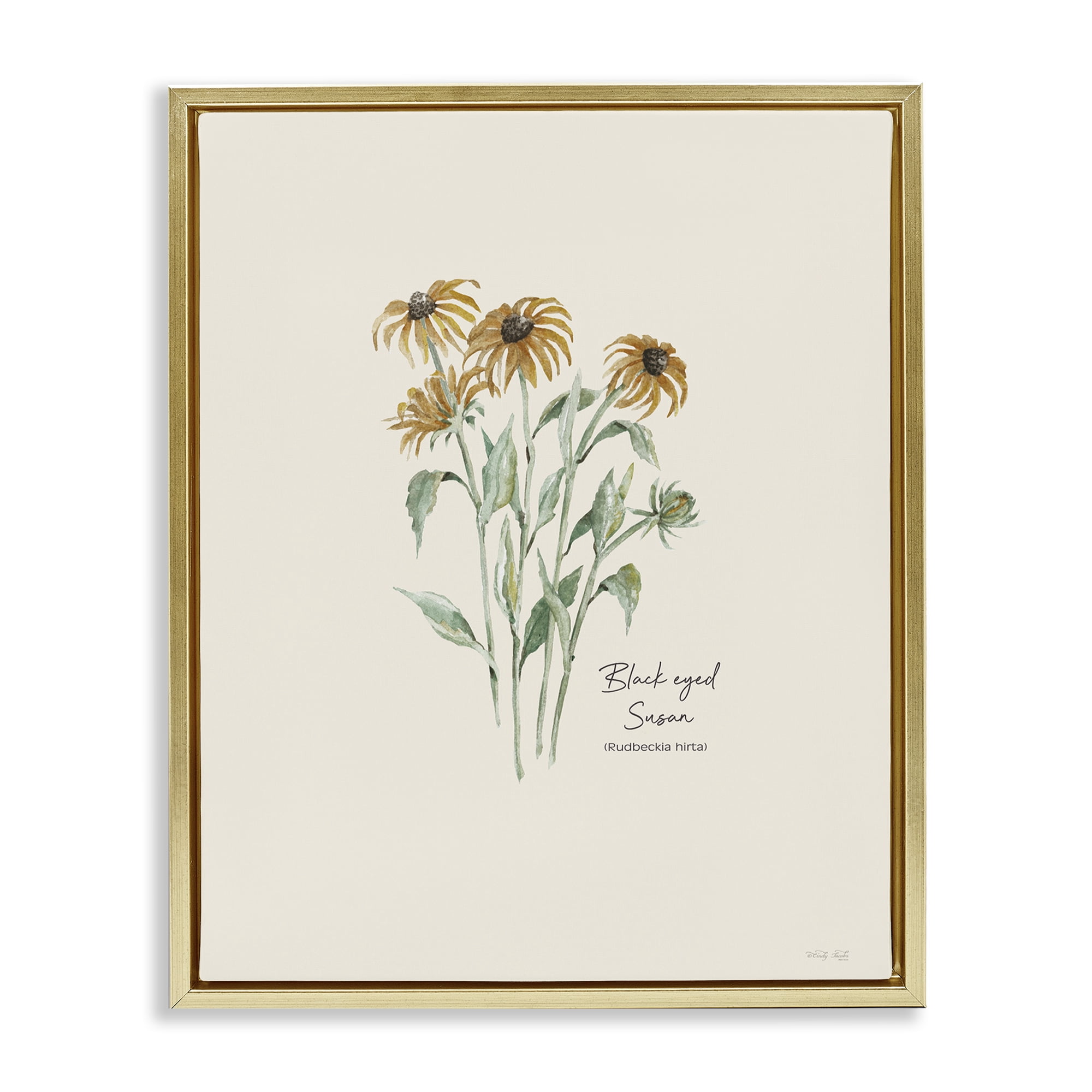 Stupell Industries Black Eyed Susans Botanical & Floral Painting Gold Floater Framed Art Print Wall Art, 25 x 31