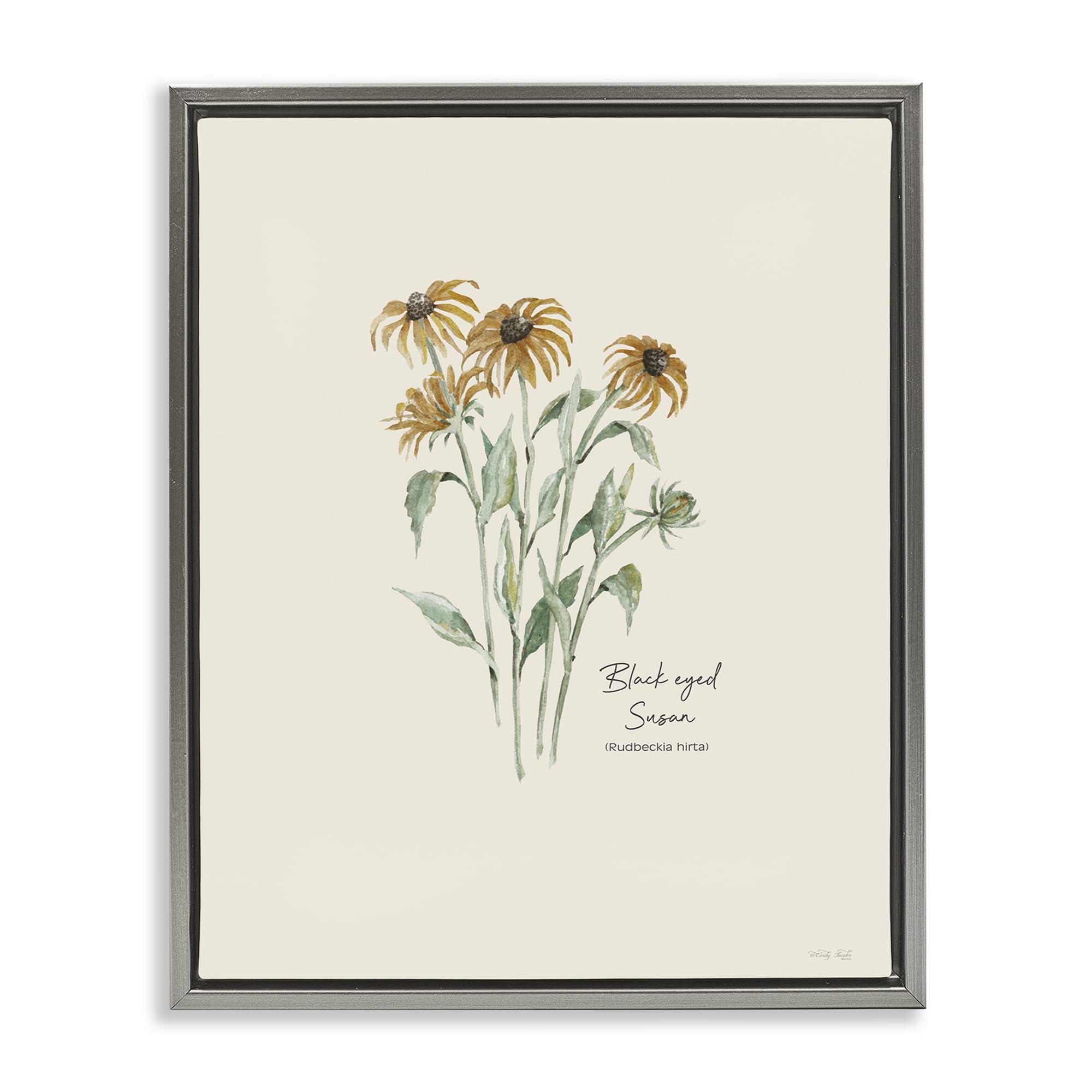 Stupell Industries Black Eyed Susans Botanical & Floral Painting Gray Floater Framed Art Print Wall Art, 17 x 21