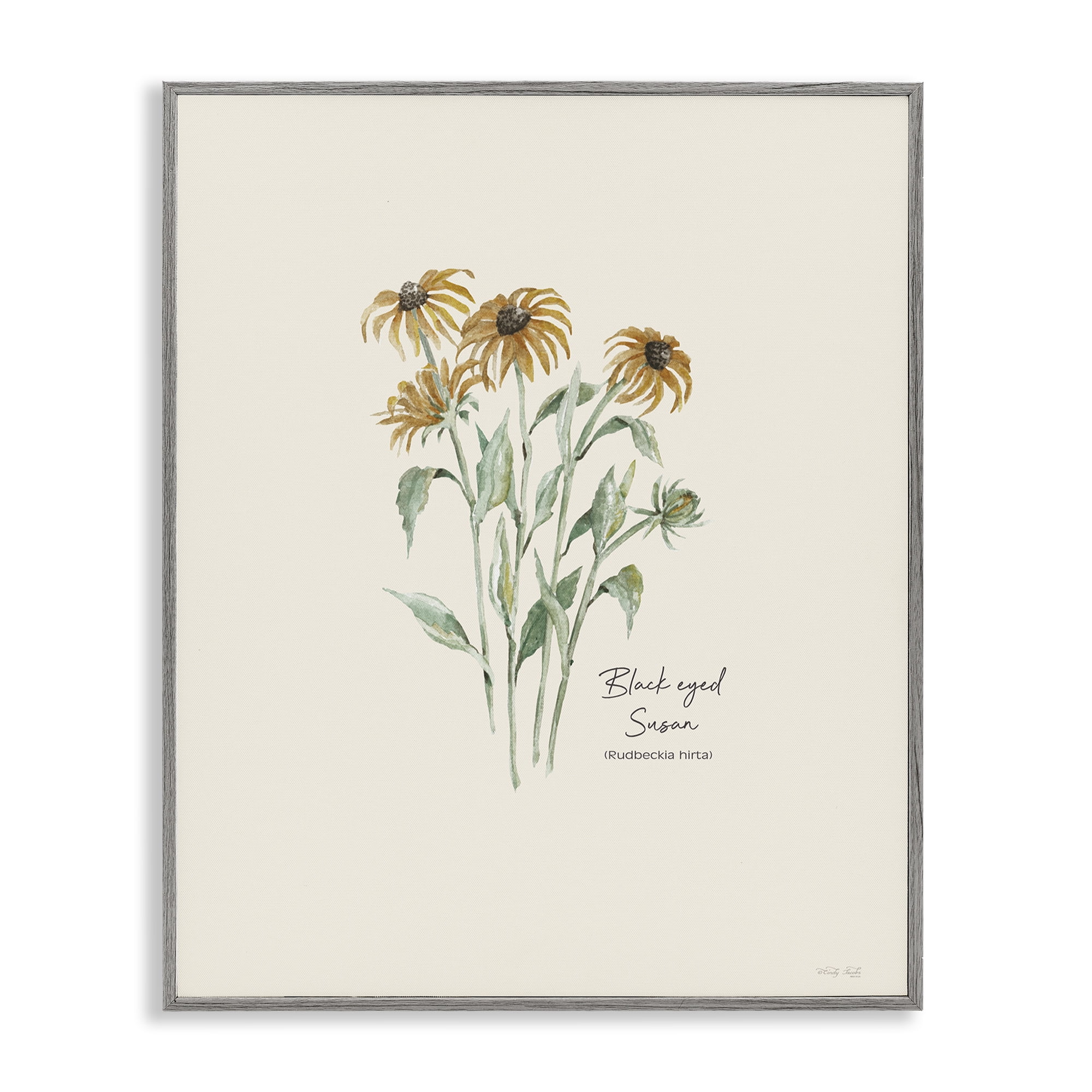 Stupell Industries Black Eyed Susans Botanical & Floral Painting Gray Framed Art Print Wall Art, 11 x 14