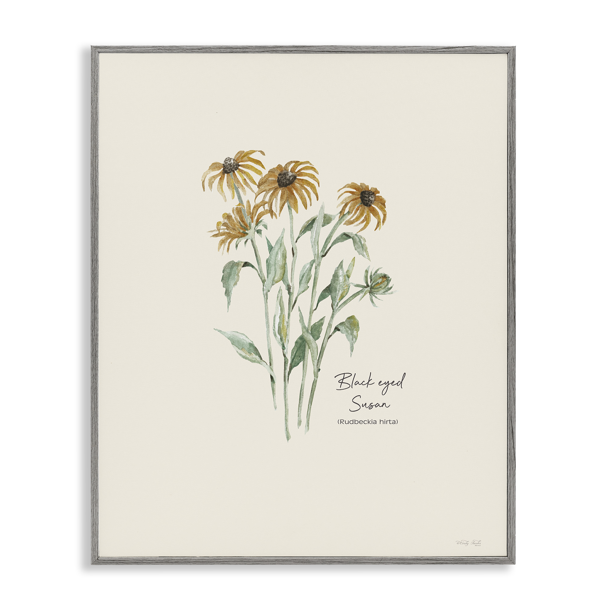 Stupell Industries Black Eyed Susans Botanical & Floral Painting Gray Framed Art Print Wall Art, 16 x 20