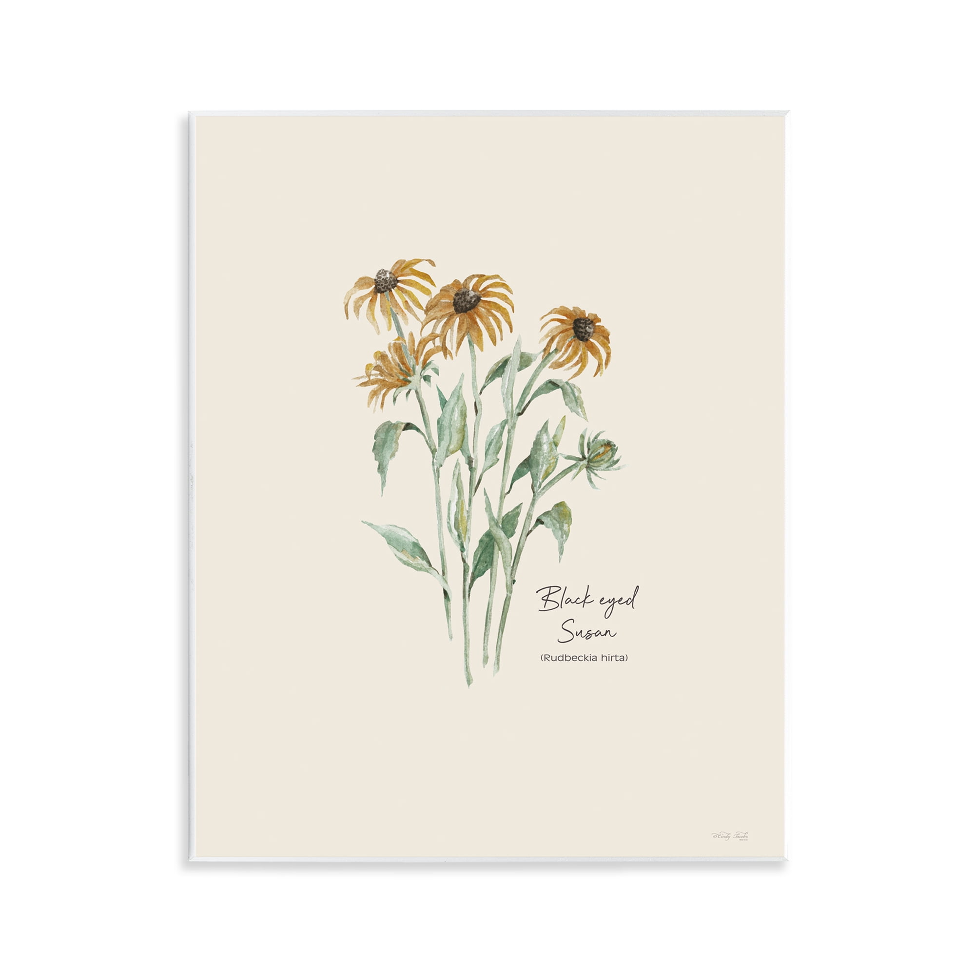 Stupell Industries Black Eyed Susans Botanical & Floral Painting Unframed Art Print Wall Art, 11 x 14