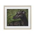 thumbnail image 1 of Stupell Industries Rustic Lodge Black Greyhound Portrait Birch Framed Print Under Glass, 16 x 13, by George Dyachenko, 1 of 8
