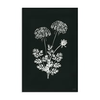 Stupell Industries Black Herb Bunches Botanical & Floral Painting Gallery Wrapped Canvas Art Print Wall Art, 16 x 24