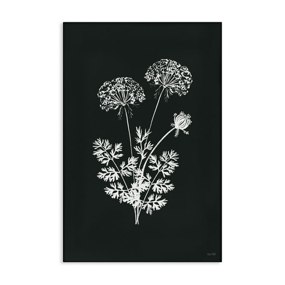 Stupell Industries Black Herb Bunches Botanical & Floral Painting Gallery Wrapped Canvas Art Print Wall Art, 16 x 24