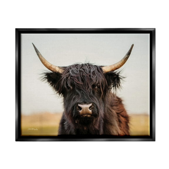 Stupell Industries Black Highland Cow Portrait Animals & Insects Photography Black Floater Framed Art Print Wall Art, 21 x 17