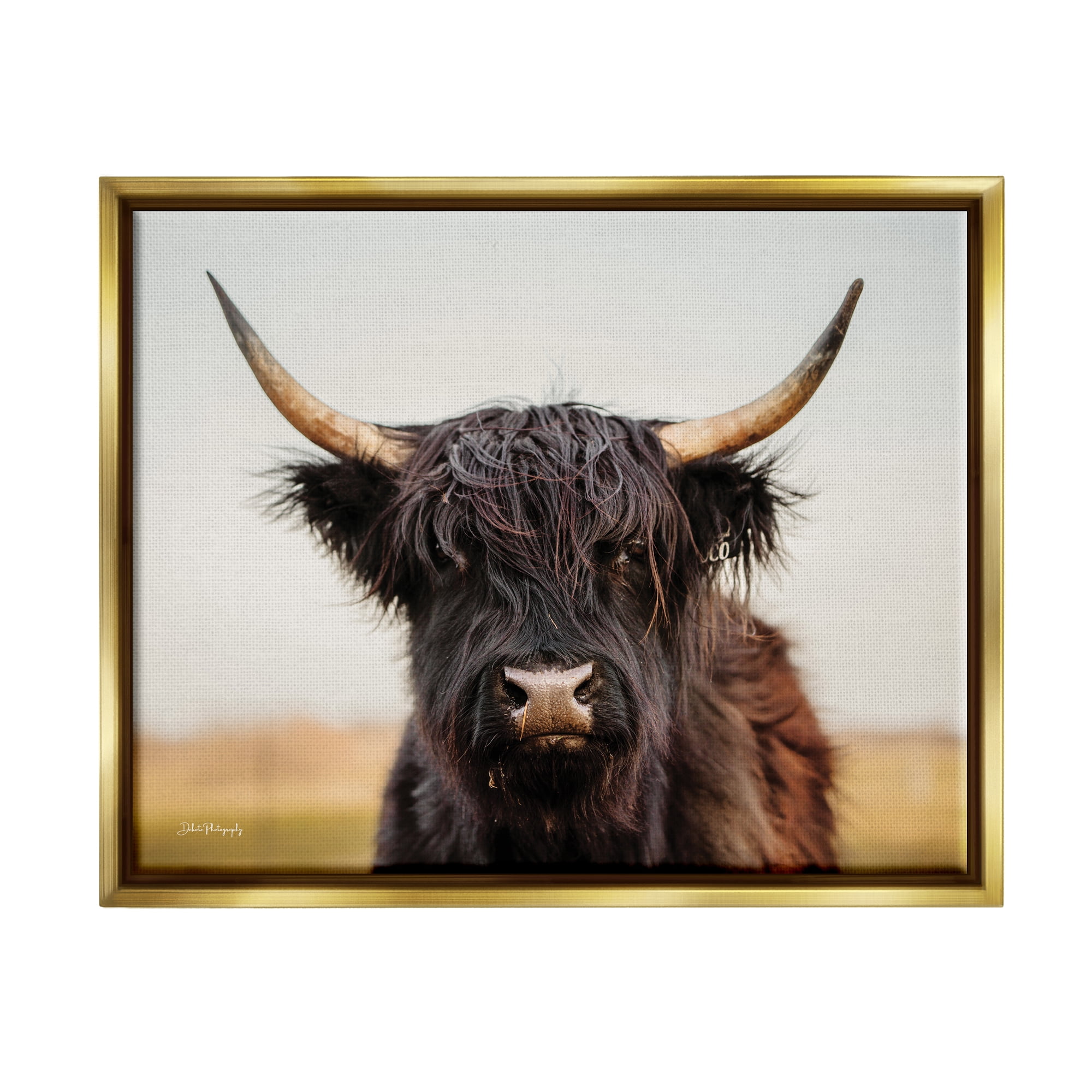 Stupell Industries Black Highland Cow Portrait Animals & Insects Photography Gold Floater Framed Art Print Wall Art, 31 x 25