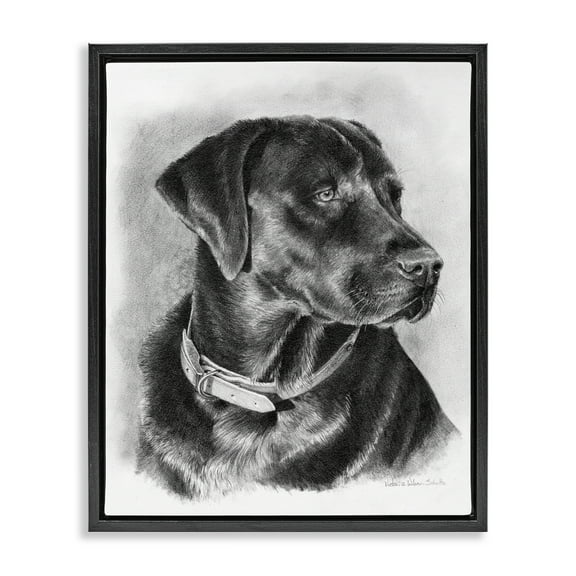 Stupell Industries Black Lab Drawing Animals & Insects Drawing Black Floater Framed Canvas Art Print Wall Art, 17 x 21