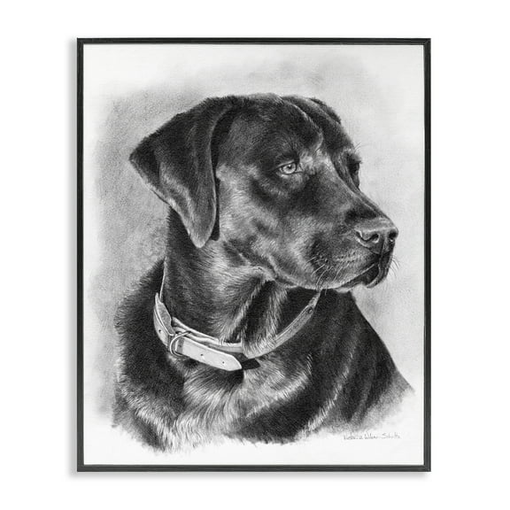 Stupell Industries Black Lab Drawing Animals & Insects Drawing Black Framed Art Print Wall Art, 11 x 14