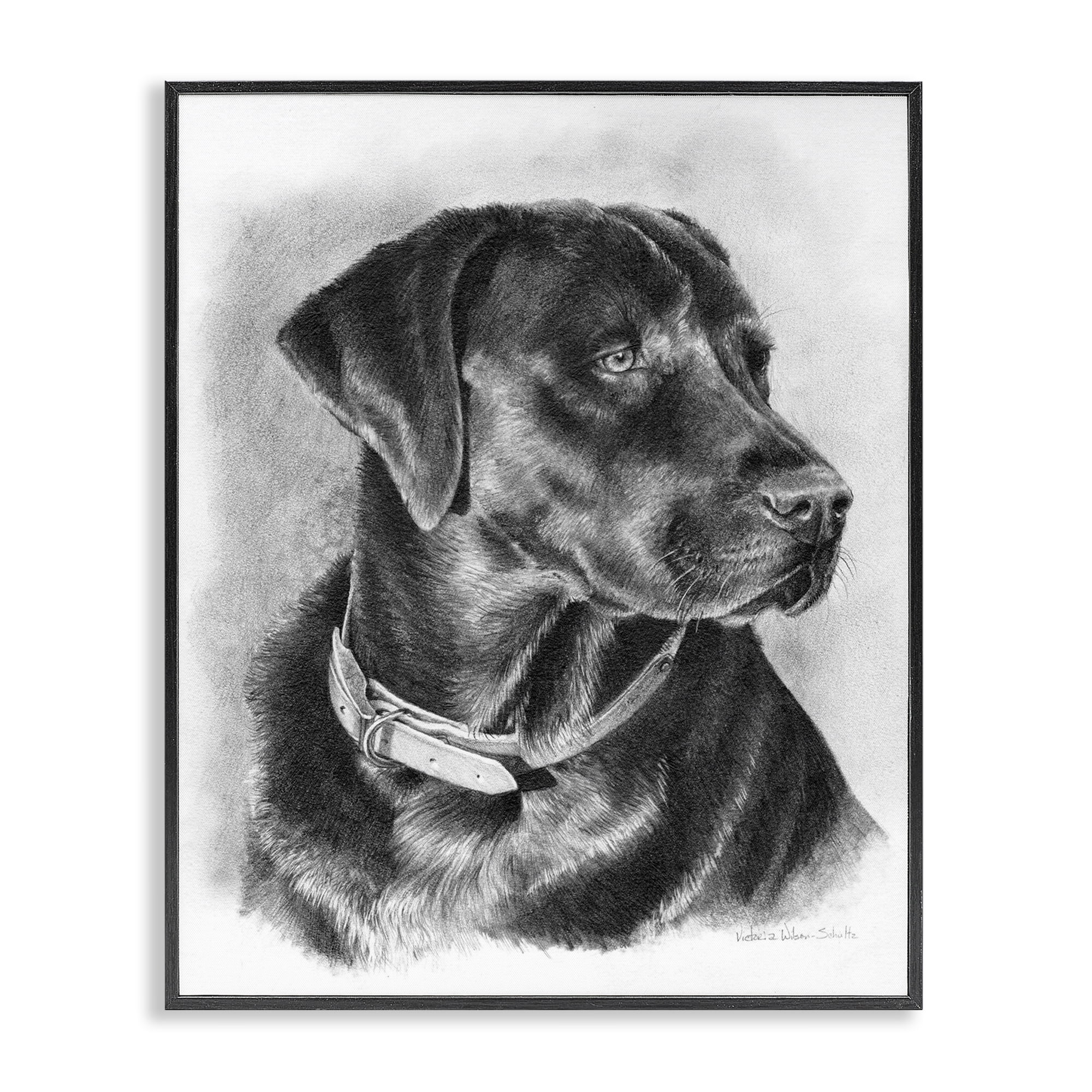 Stupell Industries Black Lab Drawing Animals & Insects Drawing Black Framed Art Print Wall Art, 24 x 30