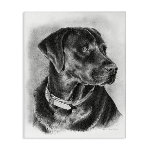 Stupell Industries Black Lab Drawing Animals & Insects Drawing Gallery Wrapped Canvas Art Print Wall Art, 16 x 20